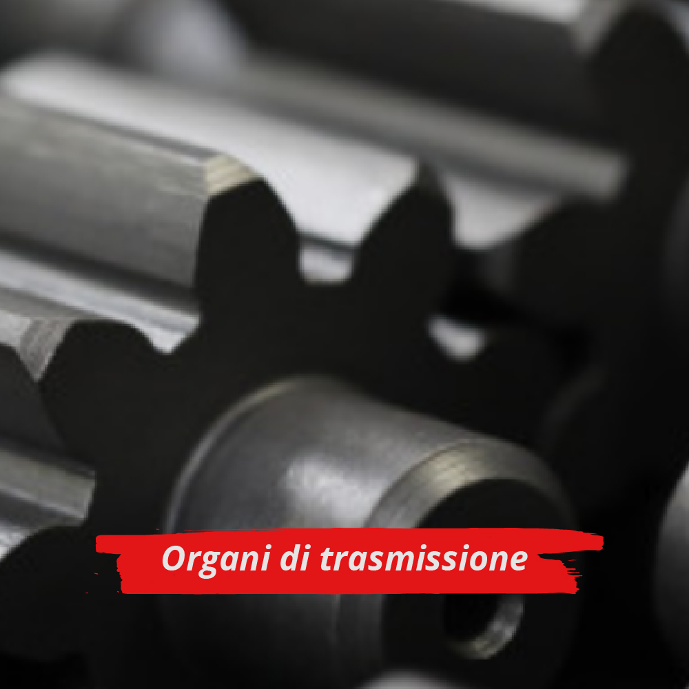 Organi di trasmissione