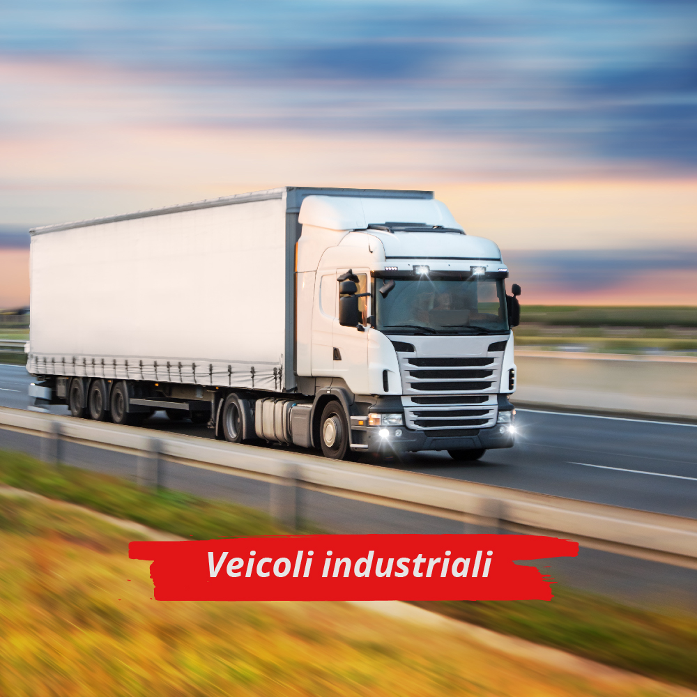 Veicoli indusitriali